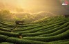 Top 4 Công Ty Tổ Chức Team Building Uy Tín, Chất Lượng, Giá Rẻ Tại Thái Nguyên