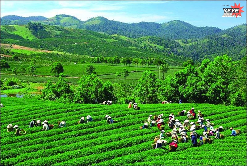 Top 4 Công Ty Tổ Chức Team Building Uy Tín, Chất Lượng, Giá Rẻ Tại Thái Nguyên (3)