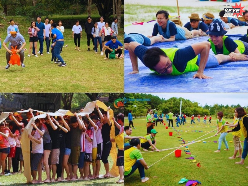 Top những Công Ty Tổ Chức Team Building Uy Tín, Chất Lượng, Giá Rẻ Tại Lâm Đồng