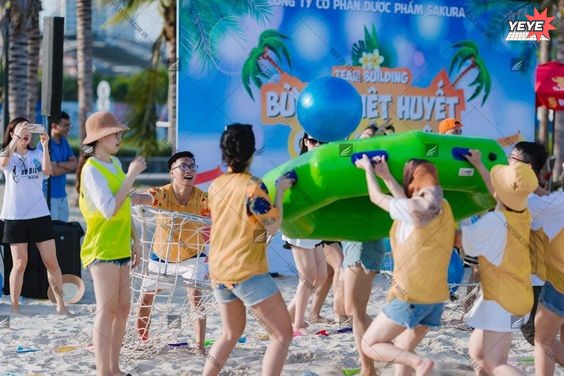 Top những công ty tổ chức tour du lịch uy tín, chất lượng, giá rẻ tại Hải Phòng (2)